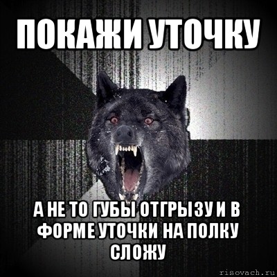 покажи уточку а не то губы отгрызу и в форме уточки на полку сложу, Мем Сумасшедший волк