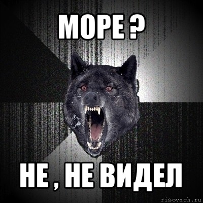 море ? не , не видел, Мем Сумасшедший волк