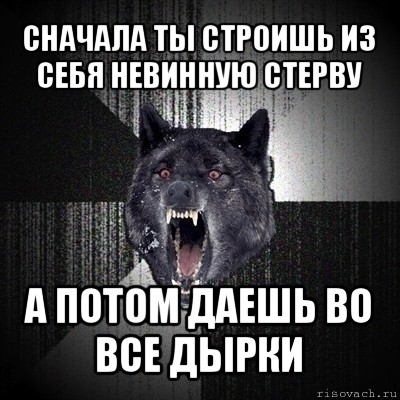 сначала ты строишь из себя невинную стерву а потом даешь во все дырки, Мем Сумасшедший волк