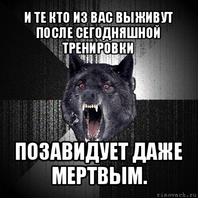 и те кто из вас выживут после сегодняшной тренировки позавидует даже мертвым., Мем Сумасшедший волк