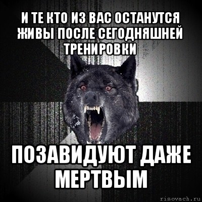 и те кто из вас останутся живы после сегодняшней тренировки позавидуют даже мертвым, Мем Сумасшедший волк