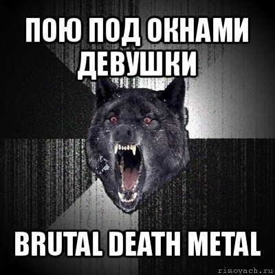 пою под окнами девушки brutal death metal, Мем Сумасшедший волк