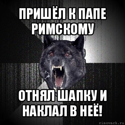 пришёл к папе римскому отнял шапку и наклал в неё!, Мем Сумасшедший волк