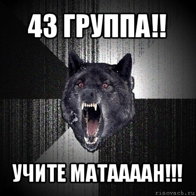 43 группа!! учите матаааан!!!, Мем Сумасшедший волк