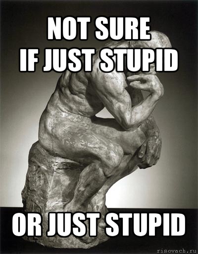 not sure
if just stupid or just stupid, Мем NOT SURE