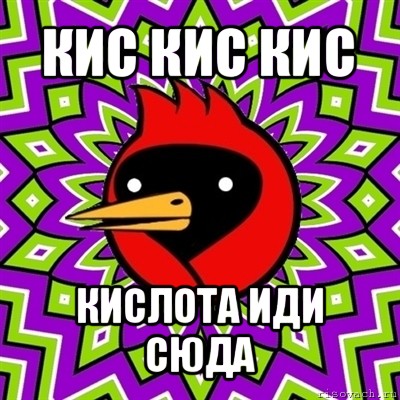 кис кис кис кислота иди сюда, Мем Омская птица