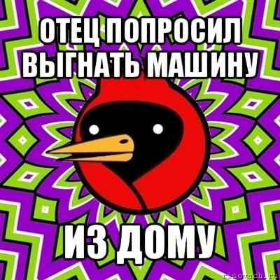 отец попросил выгнать машину из дому, Мем Омская птица