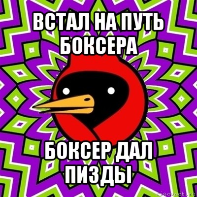 встал на путь боксера боксер дал пизды, Мем Омская птица