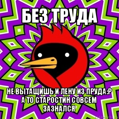 без труда не вытащишь и лену из пруда:р
а то старостин совсем зазнался, Мем Омская птица