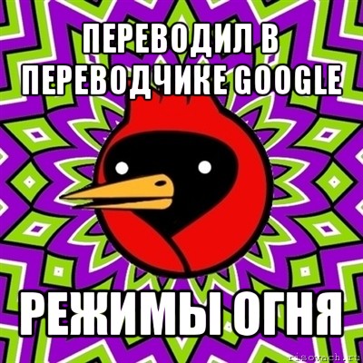 переводил в переводчике google режимы огня, Мем Омская птица