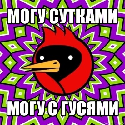 могу сутками могу с гусями, Мем Омская птица