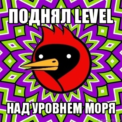 поднял level над уровнем моря, Мем Омская птица