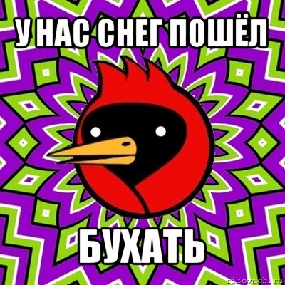 у нас снег пошёл бухать, Мем Омская птица