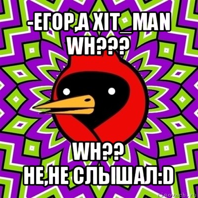 -егор,а xit_man wh??? wh??
не,не слышал:d, Мем Омская птица