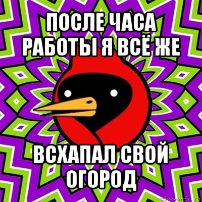 после часа работы я всё же всхапал свой огород, Мем Омская птица