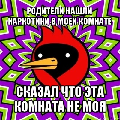 родители нашли наркотики в моей комнате сказал что эта комната не моя, Мем Омская птица