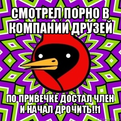 смотрел порно в компании друзей по привечке достал член
и начал дрочить!!1, Мем Омская птица