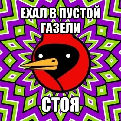 ехал в пустой газели стоя, Мем Омская птица