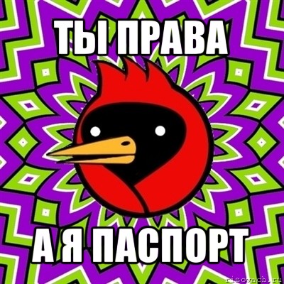 ты права а я паспорт