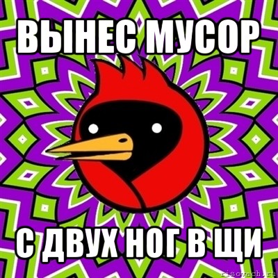 вынес мусор с двух ног в щи, Мем Омская птица