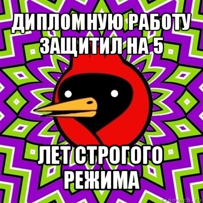 дипломную работу защитил на 5 лет строгого режима, Мем Омская птица