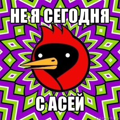 не я сегодня с асей, Мем Омская птица