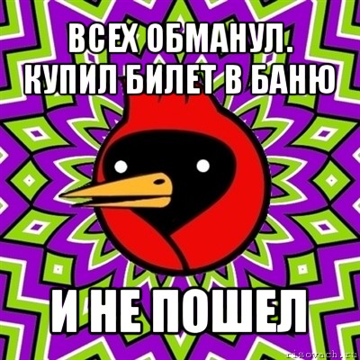 всех обманул. купил билет в баню и не пошел, Мем Омская птица