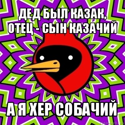 дед был казак, отец - сын казачий а я хер собачий, Мем Омская птица