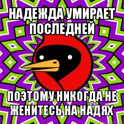 надежда умирает последней поэтому никогда не женитесь на надях, Мем Омская птица