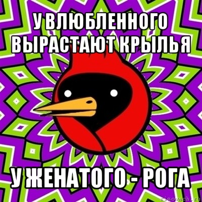 у влюбленного вырастают крылья у женатого - рога, Мем Омская птица