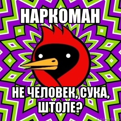 наркоман не человек, сука, штоле?, Мем Омская птица