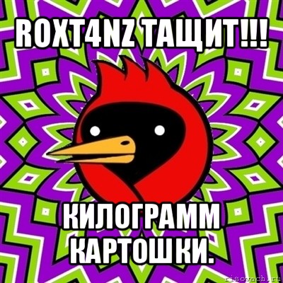 roxt4nz тащит!!! килограмм картошки., Мем Омская птица