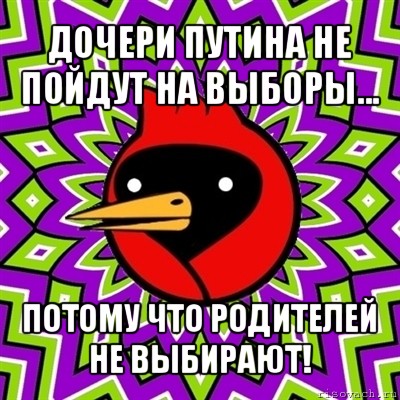 дочери путина не пойдут на выборы... потому что родителей не выбирают!