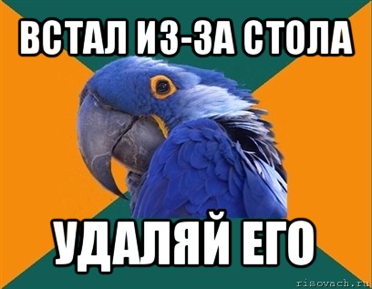 встал из-за стола удаляй его, Мем Попугай параноик