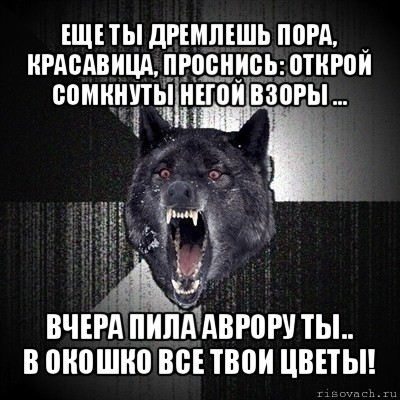 еще ты дремлешь пора, красавица, проснись: открой сомкнуты негой взоры ... вчера пила аврору ты..
в окошко все твои цветы!, Мем Сумасшедший волк