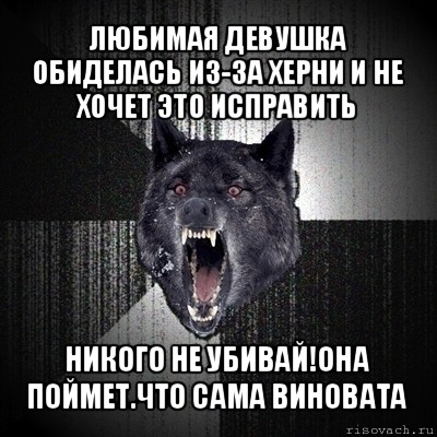 любимая девушка обиделась из-за херни и не хочет это исправить никого не убивай!она поймет.что сама виновата, Мем Сумасшедший волк