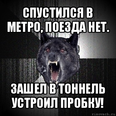 спустился в метро, поезда нет. зашел в тоннель устроил пробку!, Мем Сумасшедший волк