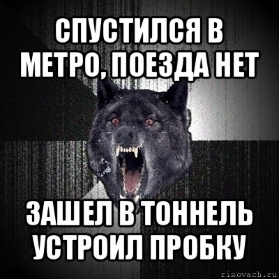 спустился в метро, поезда нет зашел в тоннель устроил пробку, Мем Сумасшедший волк