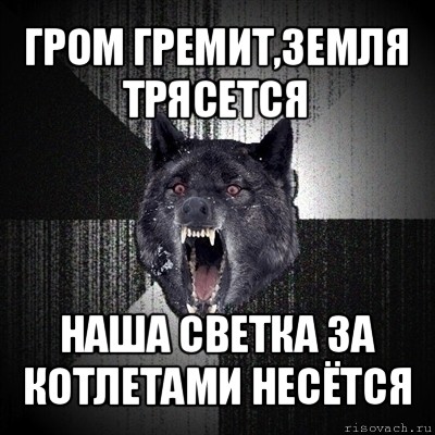 гром гремит,земля трясется наша светка за котлетами несётся, Мем Сумасшедший волк