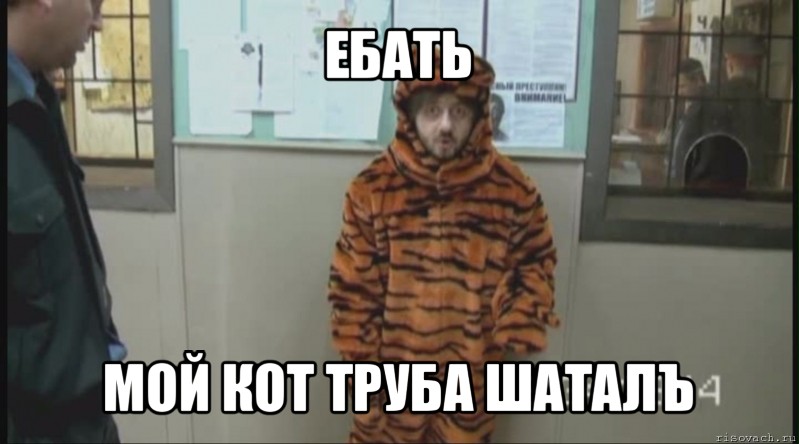 ебать мой кот труба шаталъ, Мем Бородач в костюме тигра (Наша Раша)