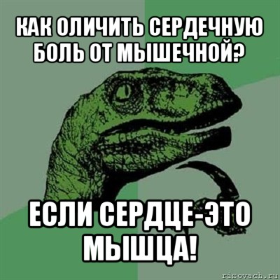 как оличить сердечную боль от мышечной? если сердце-это мышца!, Мем Филосораптор