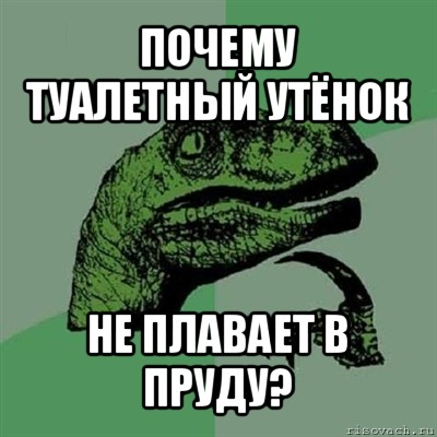 почему туалетный утёнок не плавает в пруду?