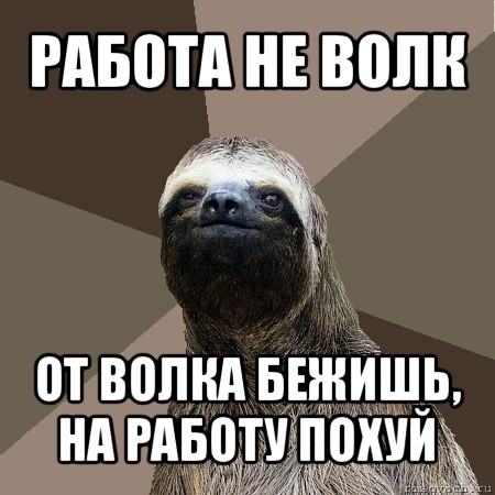 работа не волк от волка бежишь, на работу похуй