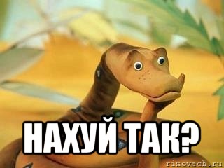  нахуй так?, Мем  Удав Каа задумался