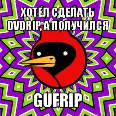 хотел сделать dvdrip, а получился gufrip, Мем Омская птица