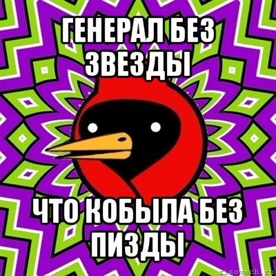 генерал без звезды что кобыла без пи3ды, Мем Омская птица