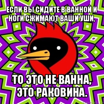 если вы сидите в ванной и ноги сжимают ваши уши, то это не ванна, это раковина., Мем Омская птица