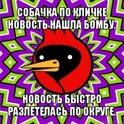 собачка по кличке новость нашла бомбу. новость быстро разлетелась по округе., Мем Омская птица