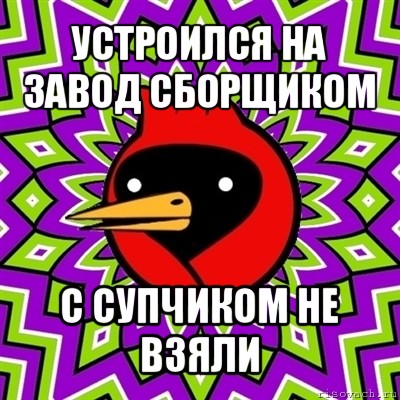 устроился на завод сборщиком с супчиком не взяли, Мем Омская птица