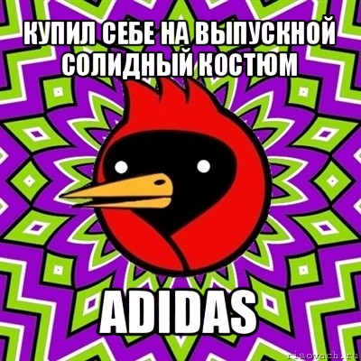 купил себе на выпускной солидный костюм adidas, Мем Омская птица